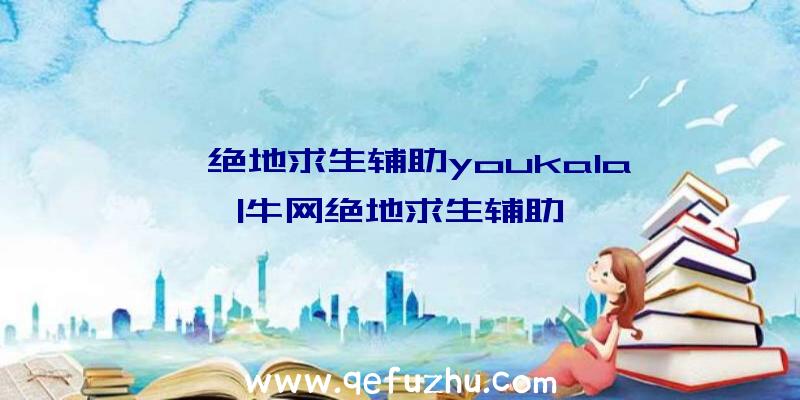 「绝地求生辅助youkala」|牛网绝地求生辅助